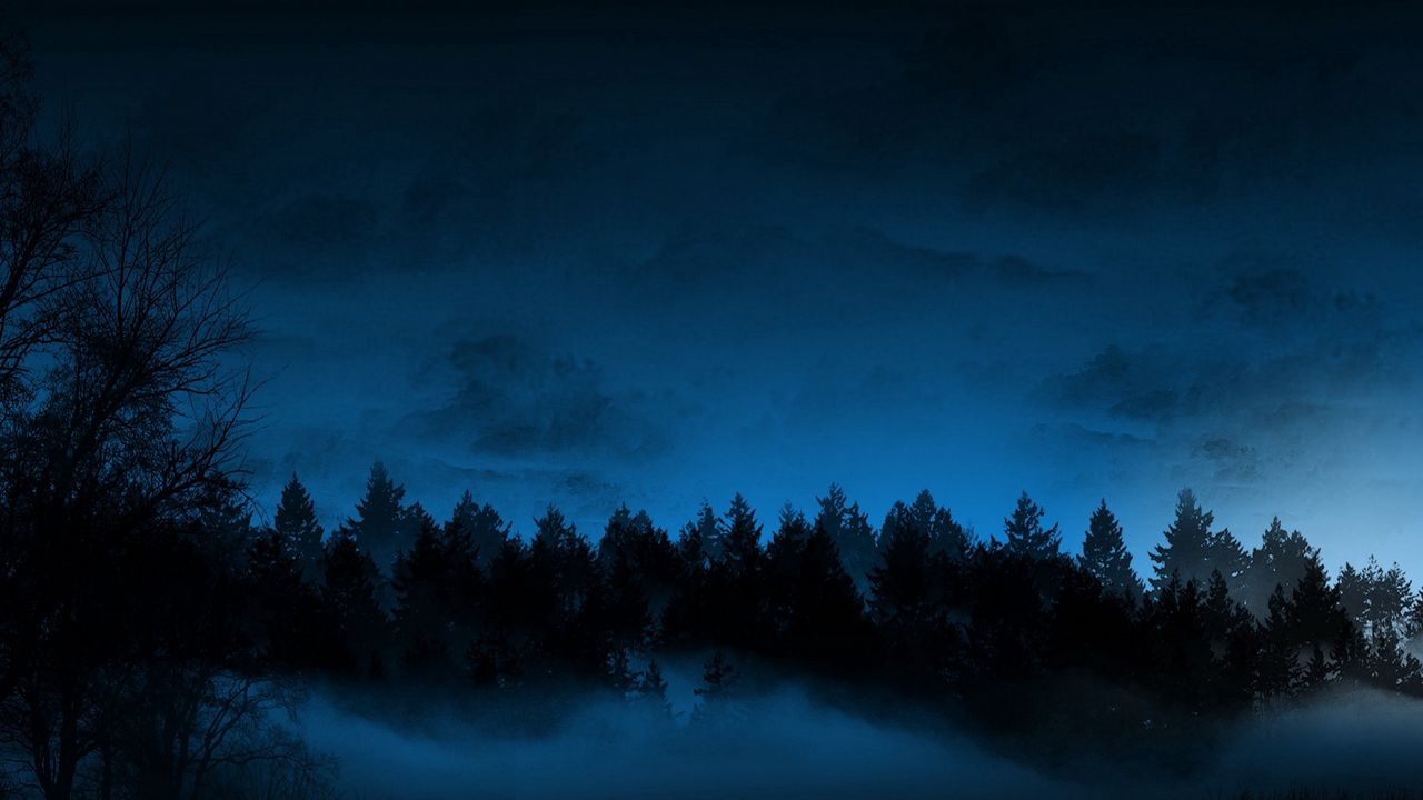 Wallpaper night, trees, fir-trees, fog hd, picture, image