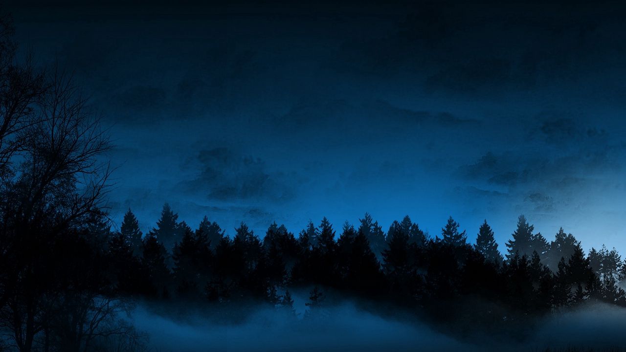 Wallpaper night, trees, fir-trees, fog