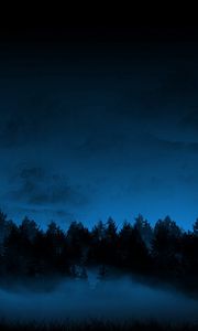 Preview wallpaper night, trees, fir-trees, fog