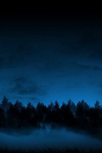 Preview wallpaper night, trees, fir-trees, fog