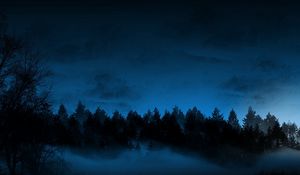 Preview wallpaper night, trees, fir-trees, fog