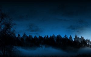 Preview wallpaper night, trees, fir-trees, fog