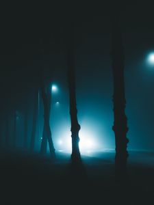 Preview wallpaper night, trees, fog, lights, light, gloomy, enveloping