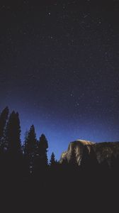 Preview wallpaper night, trees, mountains, stars, forest