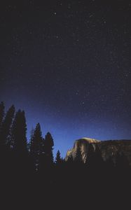 Preview wallpaper night, trees, mountains, stars, forest
