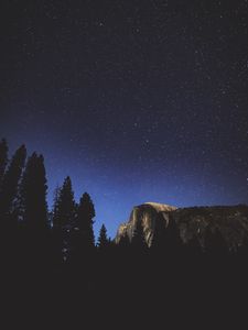 Preview wallpaper night, trees, mountains, stars, forest