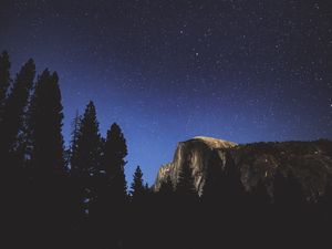 Preview wallpaper night, trees, mountains, stars, forest