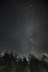 Preview wallpaper night, trees, starry sky, dark, space