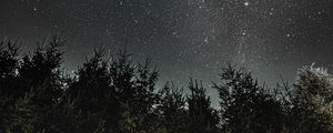 Preview wallpaper night, trees, starry sky, dark, space