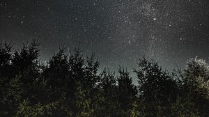 Preview wallpaper night, trees, starry sky, dark, space