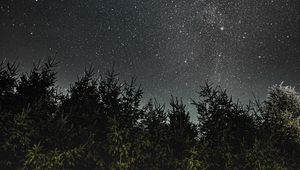 Preview wallpaper night, trees, starry sky, dark, space