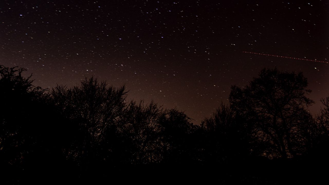 Wallpaper night, trees, starry sky, stars