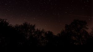 Preview wallpaper night, trees, starry sky, stars