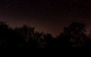 Preview wallpaper night, trees, starry sky, stars