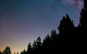 Preview wallpaper night, trees, starry sky, stars, spruce