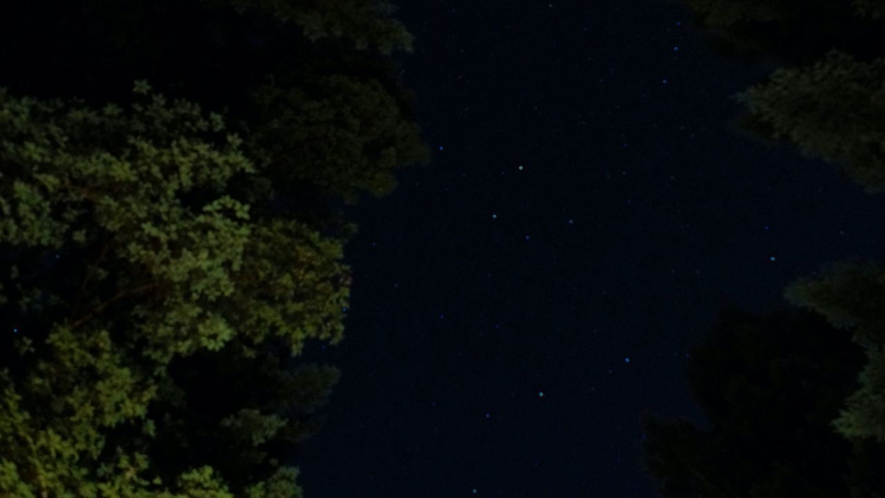 Wallpaper night, trees, stars, starry sky