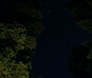 Preview wallpaper night, trees, stars, starry sky