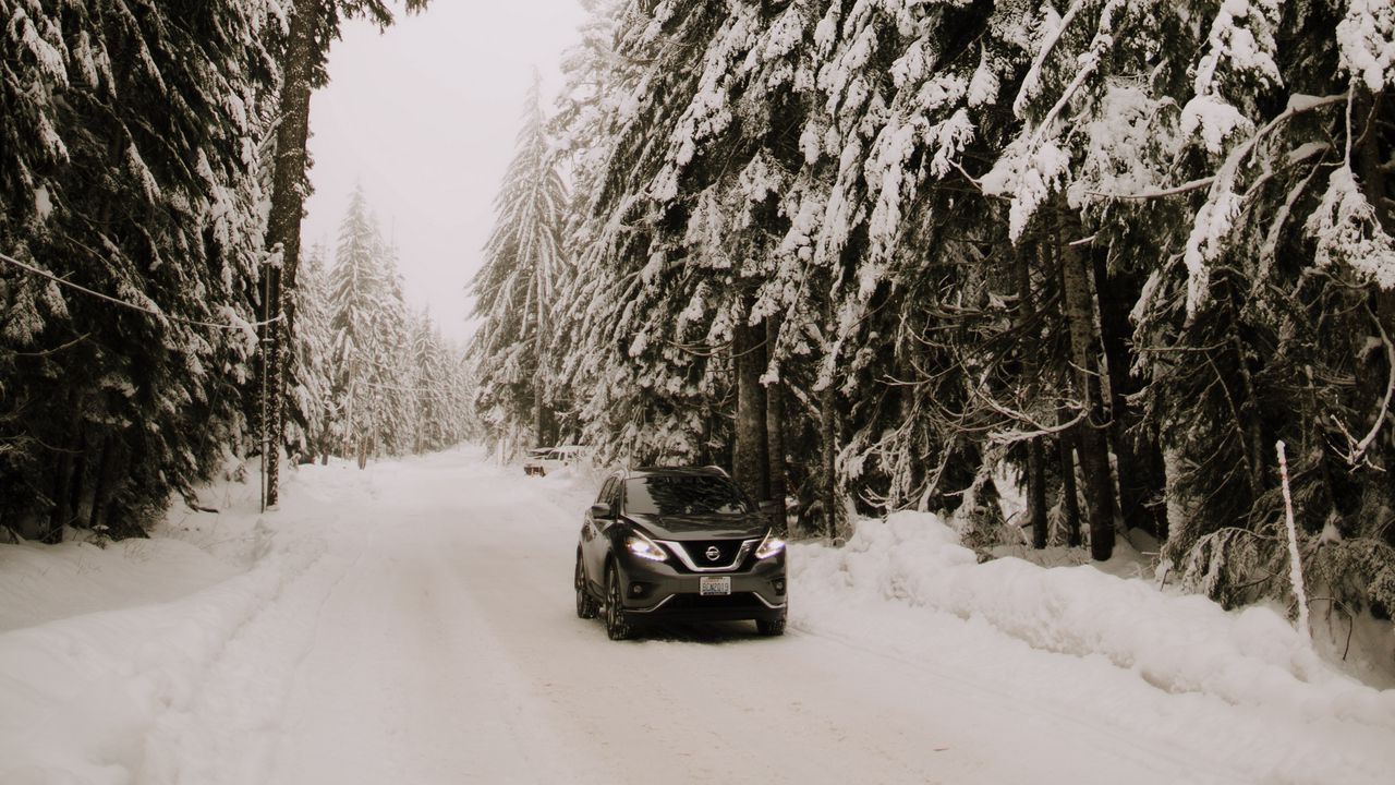 Wallpaper nissan, car, suv, snow, trees