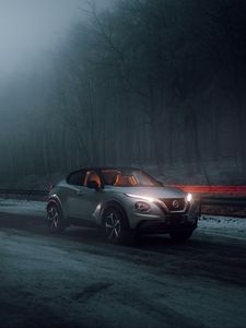 Preview wallpaper nissan juke, nissan, car, gray, side view, fog, road