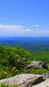 Preview wallpaper north carolina, mountains, grass, rocks