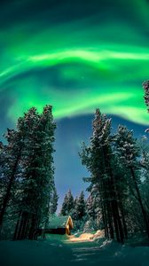 Preview wallpaper northern lights, aurora, forest, snow, night, winter