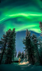 Preview wallpaper northern lights, aurora, forest, snow, night, winter