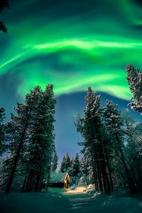 Preview wallpaper northern lights, aurora, forest, snow, night, winter