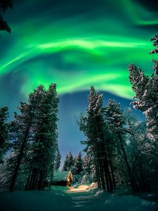 Preview wallpaper northern lights, aurora, forest, snow, night, winter