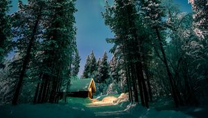 Preview wallpaper northern lights, aurora, forest, snow, night, winter