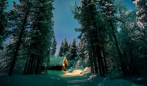 Preview wallpaper northern lights, aurora, forest, snow, night, winter