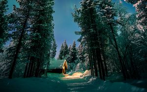 Preview wallpaper northern lights, aurora, forest, snow, night, winter