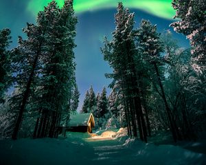 Preview wallpaper northern lights, aurora, forest, snow, night, winter