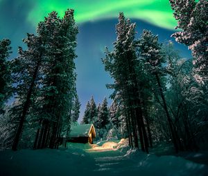 Preview wallpaper northern lights, aurora, forest, snow, night, winter