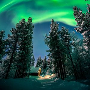 Preview wallpaper northern lights, aurora, forest, snow, night, winter