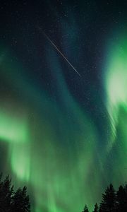 Preview wallpaper northern lights, aurora, night, trees, sky