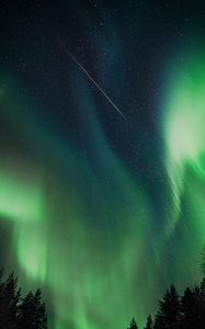 Preview wallpaper northern lights, aurora, night, trees, sky