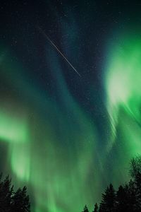 Preview wallpaper northern lights, aurora, night, trees, sky