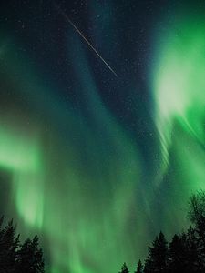 Preview wallpaper northern lights, aurora, night, trees, sky