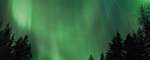 Preview wallpaper northern lights, aurora, night, trees, sky