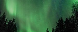 Preview wallpaper northern lights, aurora, night, trees, sky
