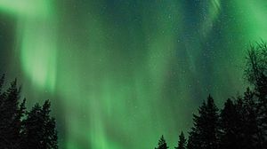 Preview wallpaper northern lights, aurora, night, trees, sky