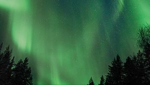 Preview wallpaper northern lights, aurora, night, trees, sky