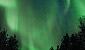 Preview wallpaper northern lights, aurora, night, trees, sky