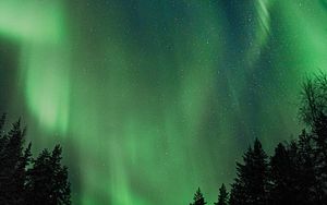 Preview wallpaper northern lights, aurora, night, trees, sky