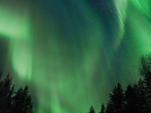 Preview wallpaper northern lights, aurora, night, trees, sky