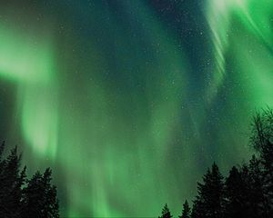 Preview wallpaper northern lights, aurora, night, trees, sky