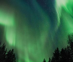 Preview wallpaper northern lights, aurora, night, trees, sky