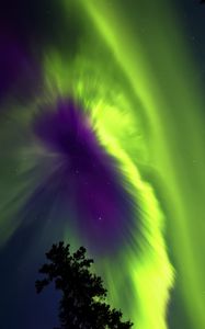 Preview wallpaper northern lights, aurora, sky, stars, tree