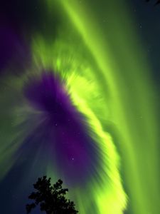 Preview wallpaper northern lights, aurora, sky, stars, tree