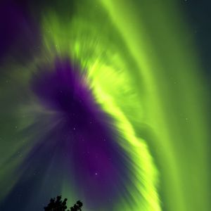 Preview wallpaper northern lights, aurora, sky, stars, tree